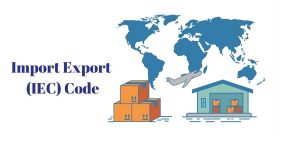 Relevance-of-Import-Export-Code-IEC