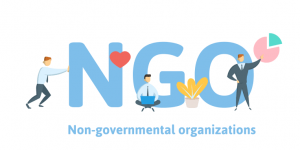 ngo-section8-company360